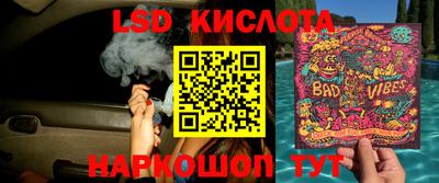 ешки Бийск