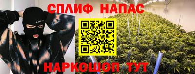ешки Бийск